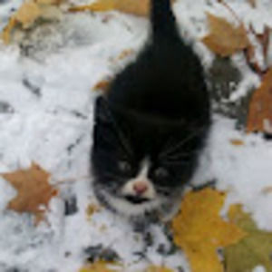 Meet your Posher, Michaela